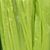 RAPHIA-TROPIC/GREEN - Τροπικό Πράσινο