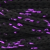 CAPRI-M-018 - Black with Purple Glitter