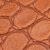 CROC/NEW-2 - Croco Camel
