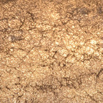 Picture of Set Glam Cover CRYSTY with Side Pannels