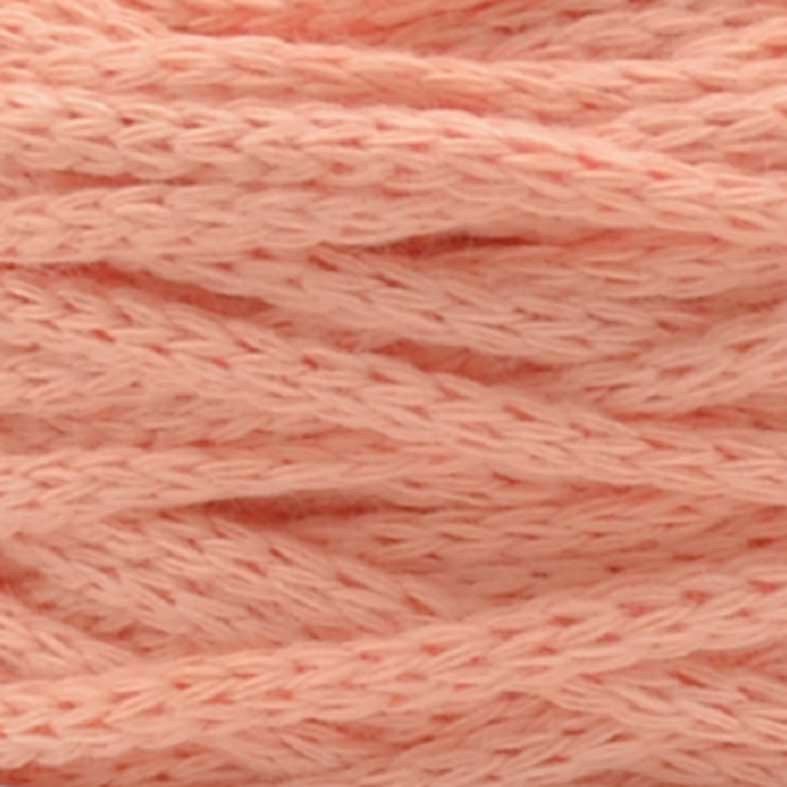 AMIG/COT-77 - Salmon