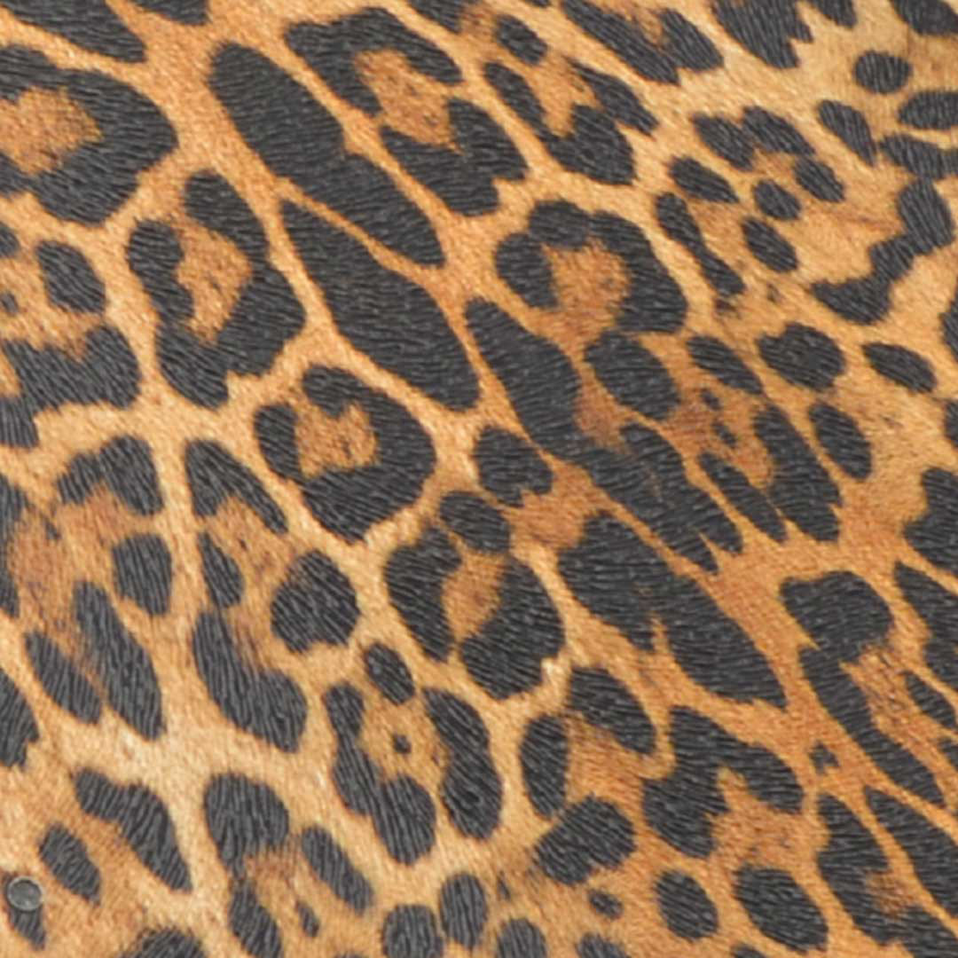 LEOPARDBABY BRROWN - Baby Leopard