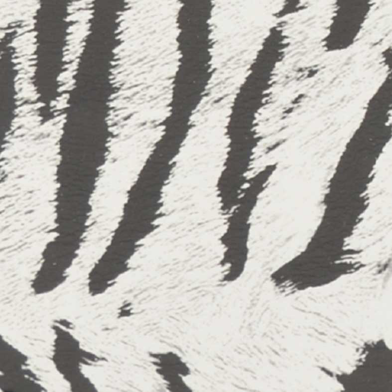 ZEVRABLACK-WHITE - ZEVRABLACK-WHITE