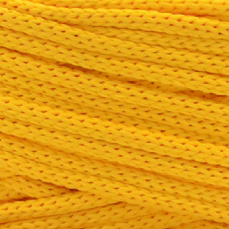 CAPRI-G-020 - CAPRI-G-020
