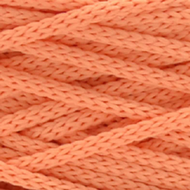 CAPRI-G-1009 - Salmon